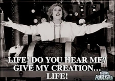 YOUNG FRANKENSTEIN GIVE MY CREATION LIFE MAGNET 2.5” X 3.5” NEW