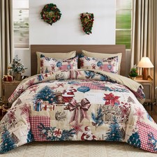 Christmas Comforter Queen Size,Santa Claus 7-Piece Bed in A Bag,Red Blue Comf...