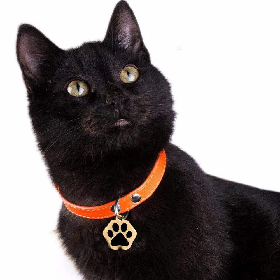 Индивидуальная гравированная бирка с именем питомца собаки кошки двухсторонняя - Изображение 3 из 4