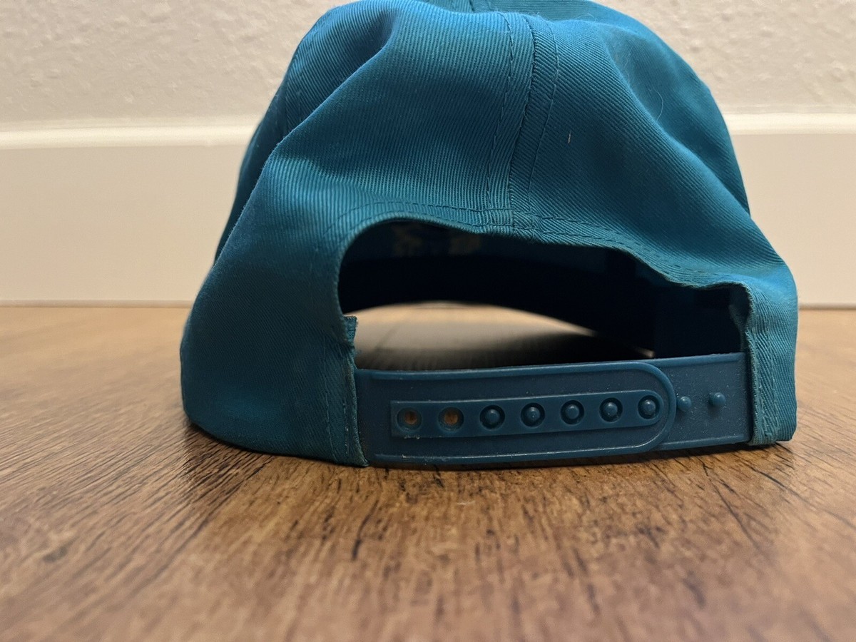 Vintage Charlotte Hornets Twins Enterprise Snapback Hat Cap 90s