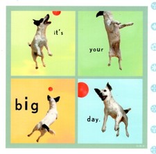 Funny Happy Birthday Jack Russell Terrier Play Fetch Ball Catch Hallmark Card