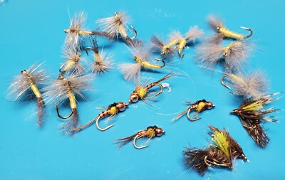 Sulfur Fly Selection, Sulfur Fly Life Cycle Selection, 16 Sulfur Flies