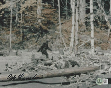 ROBERT BOB GIMLIN SIGNED BIGFOOT PATTERSON SASQUATCH 8x10 PHOTO BECKETT BAS COA ROBERT BOB GIMLIN SIGNED BIGFOOT PATTERSON SASQUATCH 8x10 PHOTO BECKETT BAS COA