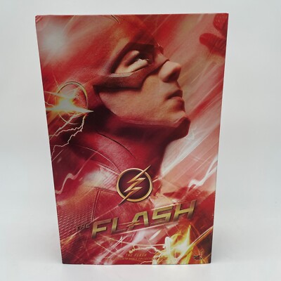 Hot Toys TV Masterpiece THE FLASH 1/6 Actionfigur Japan Import