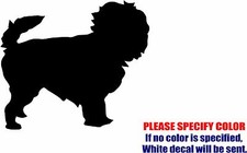 Affenpinscher Dog Decal Sticker Funny Vinyl Car Window Bumper Truck Laptop 6"