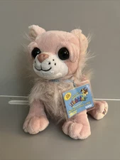 Webkinz Chichi Chihuahua With Used Tag (read desc)