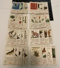 WORLD OF NATURE - Vintage Coca Cola Cards - Series 1-8 - Lot Of 94 - Missing 2