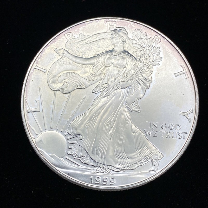 1999 $1 American Silver Eagle 1oz .999 Fine Silver Uncirculated Toning Spots