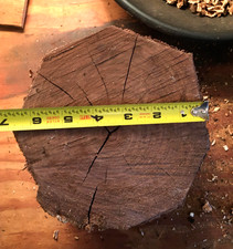 Black Walnut