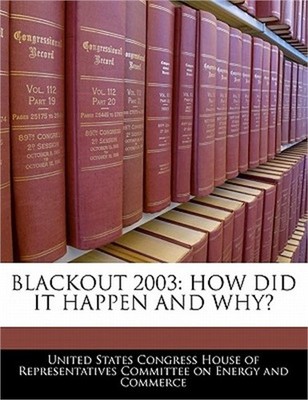 Blackout 2003: How Did It Happen and Why? (Paperback or Softback)