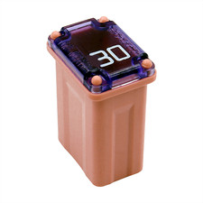 PEC 10-Pack 30A Slow-Blow Cartridge Micro Fuses