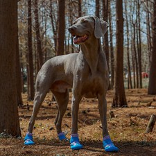 4pcs Waterproof Dog Shoes Boots Paw Protector Reflective Strip Anti-slip 3XS-2XL