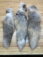 Golden Island Fox Tail