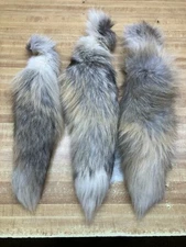 Golden Island Fox Tail