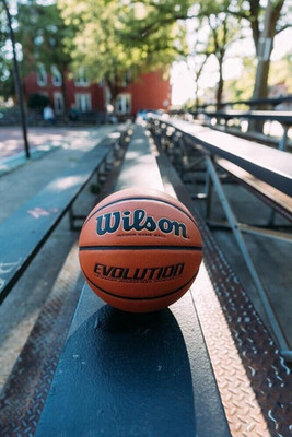WILSON Men's Evolution Game Basketball (29.5'') - Official Size & Weight - Indoor