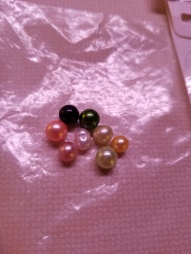 5 ostras envueltas individualmente con perlas ¿hágalo usted mismo perlas Akoya? Lote Pearl Oyster - Imagen 2 de 6