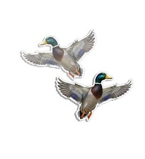 Mallard Wildlife Decal Bird Vinyl Duck Sticker Wall Hunting 2 Pack
