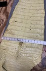 Genuine Alligator Tail And Leg Professionally Tanned — photo 10
