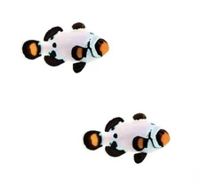 2-Pack Orange Frostbite Ocellaris Clownfish Live Captive Bred Saltwater Tank Fis