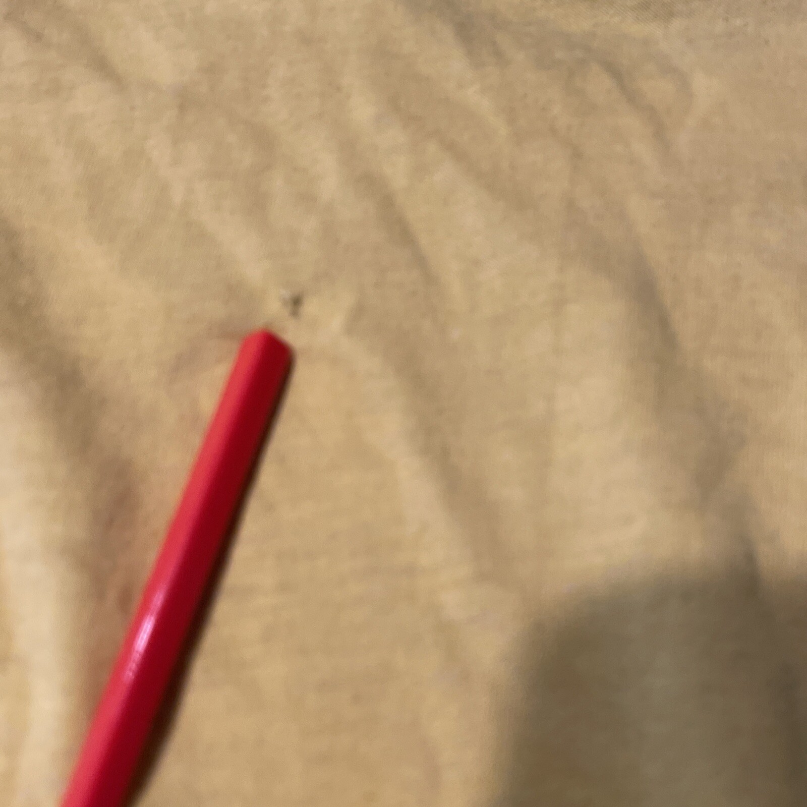 Vtg Environmental Studies Program Miami Country D… - image 15