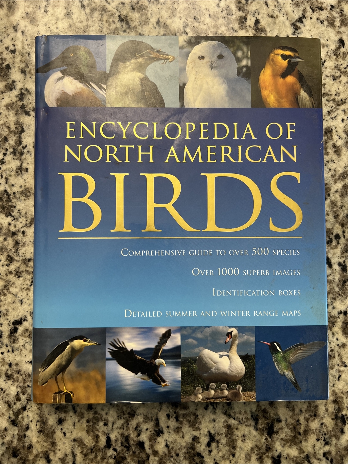 Birds of North America by Parragon Publishing 9781407524368 | eBay