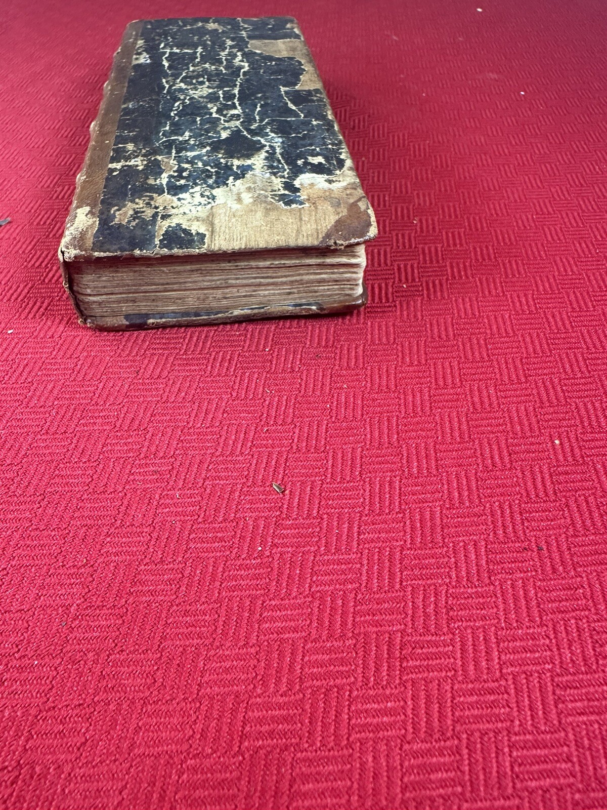 Picture 9 of 10