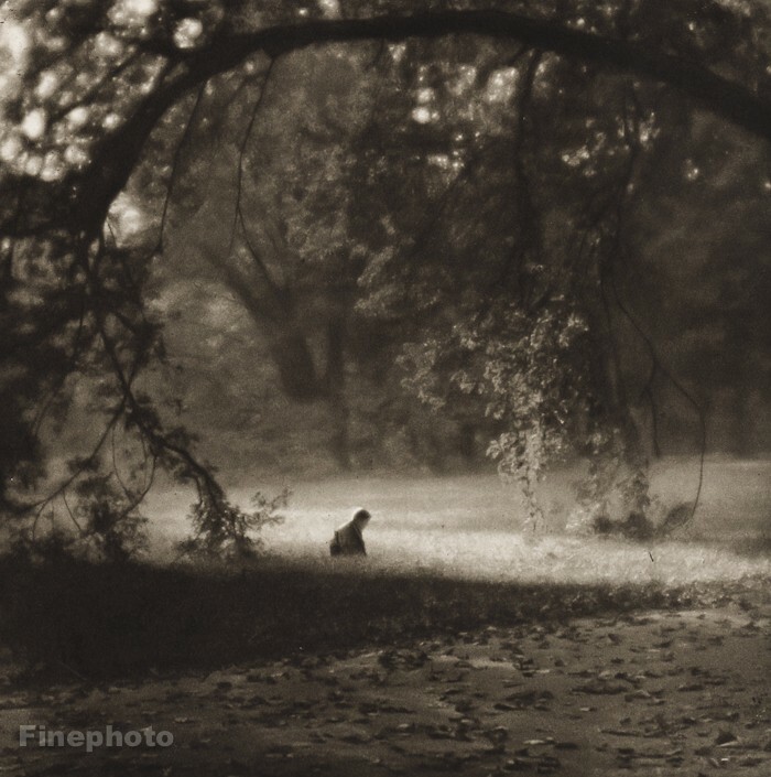 1928/56 Vintage JOSEF SUDEK Autumn Day Landscape Solitude Original