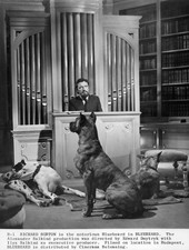 Richard Burton at piano in a scene from the film Bluebeard 1972 Old Photo 1