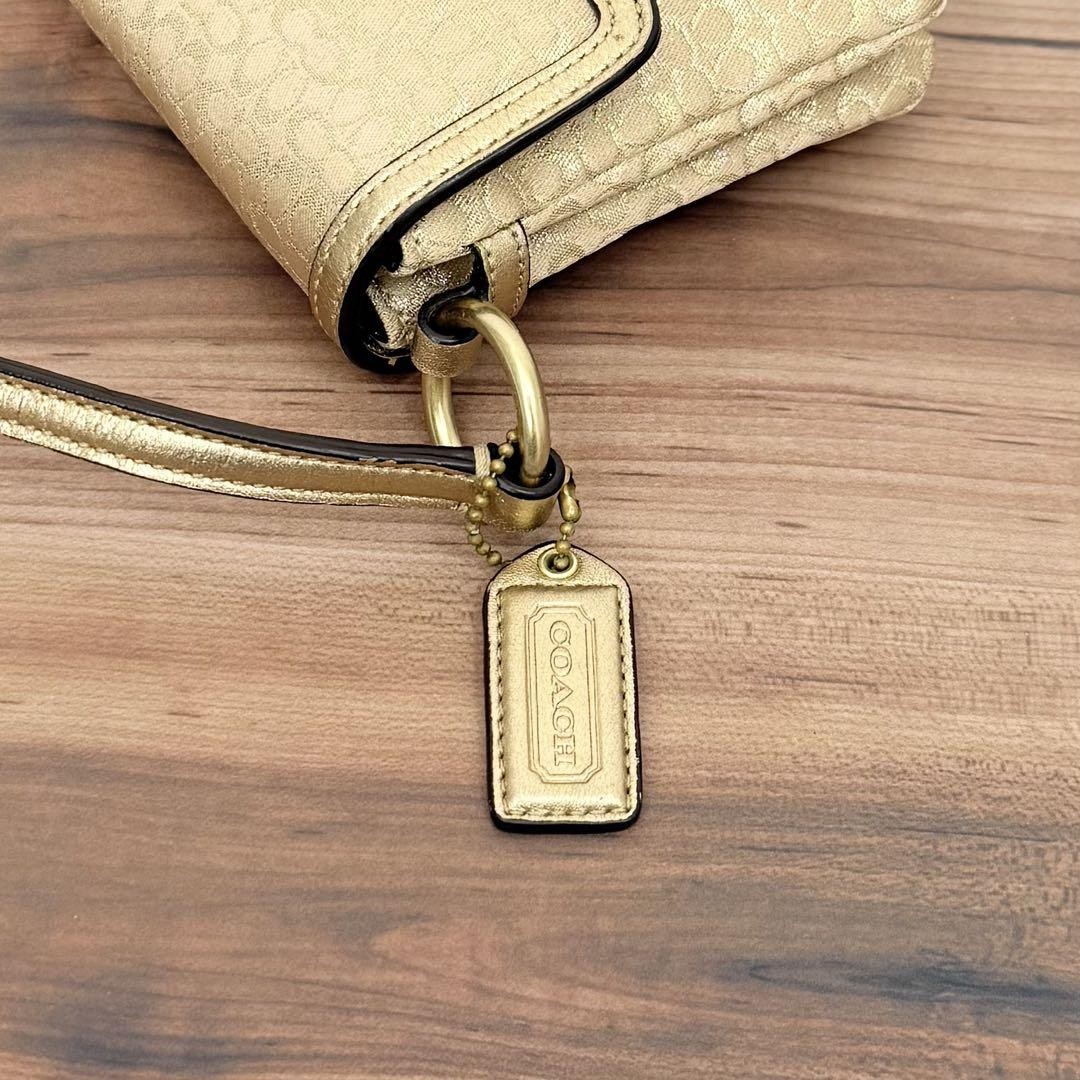 Coach Mni Signature Hook Demi Pouch F34 | eBay