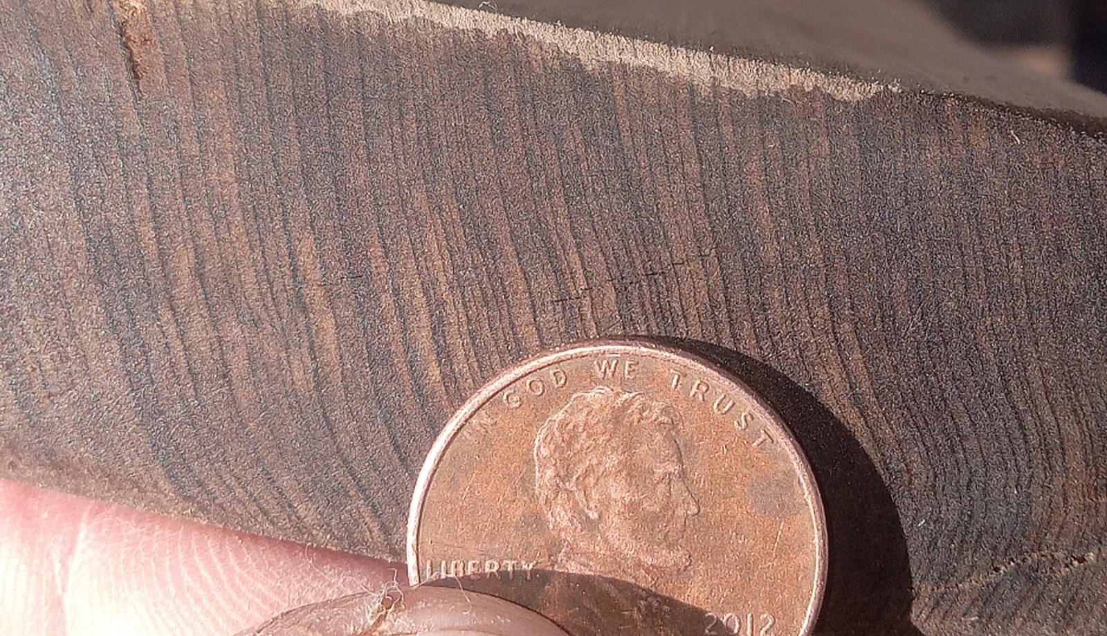 3 Pc Value Pack Quartersawn REAL Louisiana Sinker Cypress Craft Wood Tight Grain