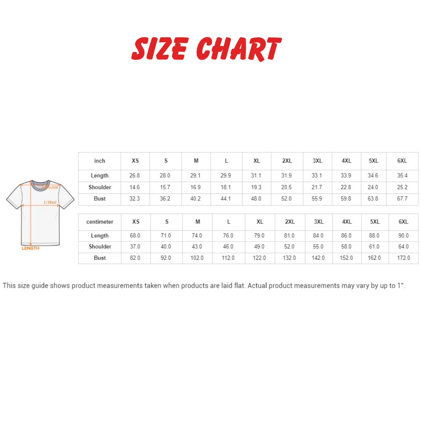 Stevie Nicks 2025 Tour 3D T-Shirt