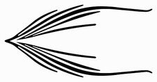 PINSTRIPE DESIGN 8 CAR BIKE VAN TRUCK BOAT VINYL GRAPHIC STICKER DECAL