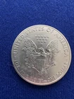 2013American Silver Eagle Brilliant Uncirculated 0.999 Fine 1 oz