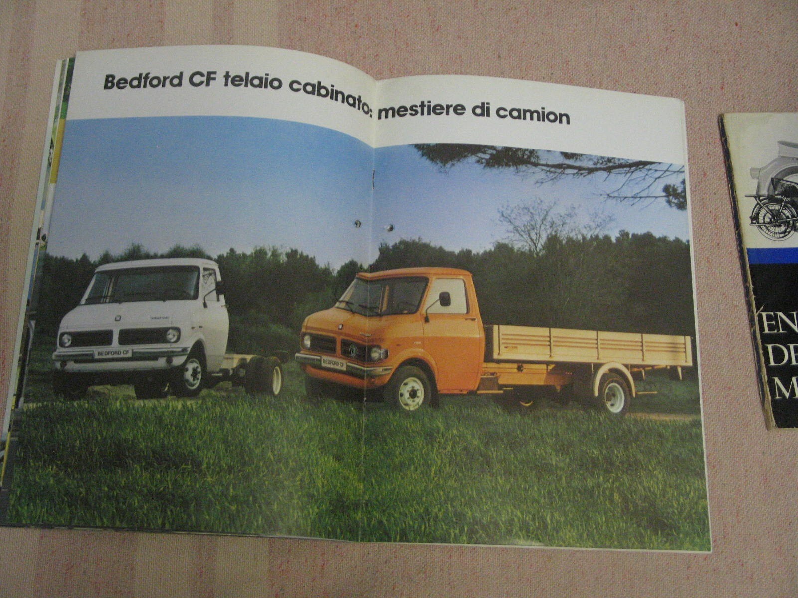 Picture 6 of 10