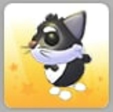 Tuxedo Cat NFR MFR Adopt Now