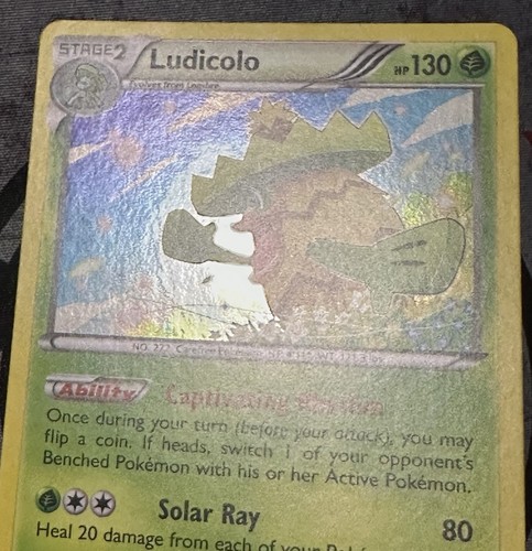 Pokemon TCG - LUDICOLO - Primal Clash 12/160 Rare Holo - VLP - Bild 4 von 5