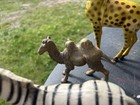 Vintage Lot Of 5 Plastic Zoo Animals Lion Giraffe Zebra Tiger Camel Vintage 1987 — photo 5