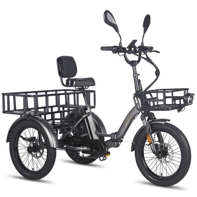 Fafrees F20 Mate Elektro Dreirad 20'' E Bike 23,45AH 3 Rädern E-Fahrrad Tricycle