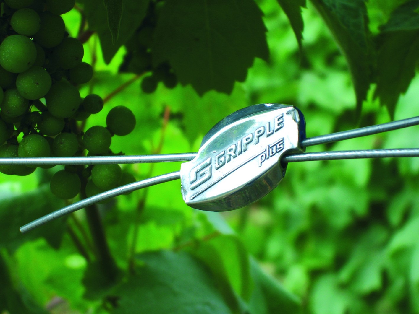 Gripple Plus Medium 20 pz.