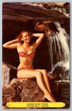 Vintage Greetings Postcard Caldwell Idaho Waterfall Scene