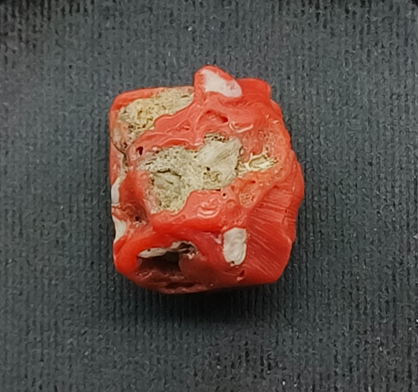 Genuine Red Coral Branch 100%Natural Red Coral Branch New Arrival Making Jewelry