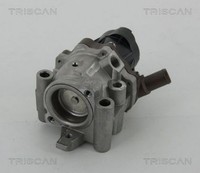 Triscan 881315208 Agr-Ventil AGR Ventil AbgasrüCkfüHrventil FüR Fiat