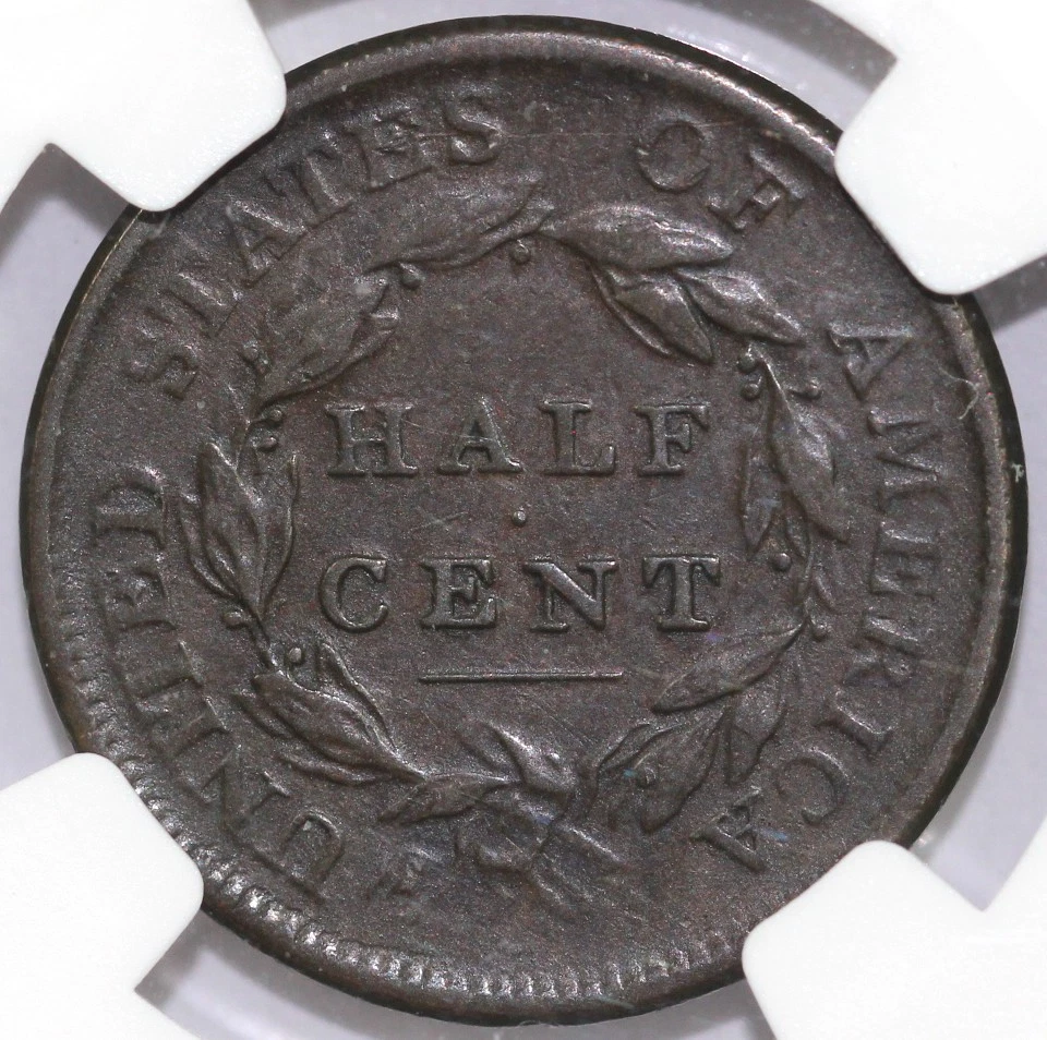 1810 1/2c C-1 Classic Head Half Cent NGC VF 30 - Image 2 of 4