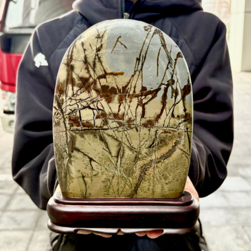 3,94 Pfund schöner natürlicher chinesischer dendritischer Kalkstein Bildstein Guohua - selten - Bild 9 von 16