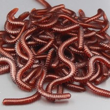 50 PCS Worm Shape Lures Fishing Bait Kit Baits Tackle Artificial