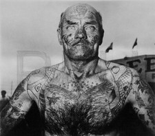 Vintage Tattoo Image 14 x 11" Photo Print