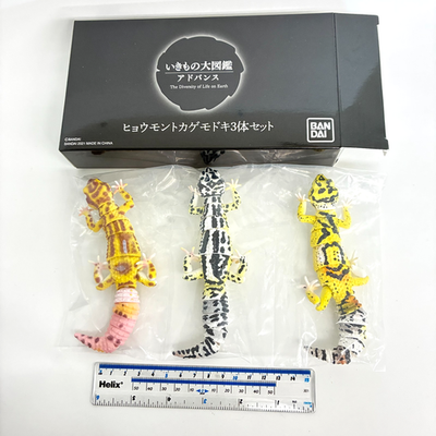Bandai Gashapon Leopard Gecko Action Figure ADVANCE Premium Bandai