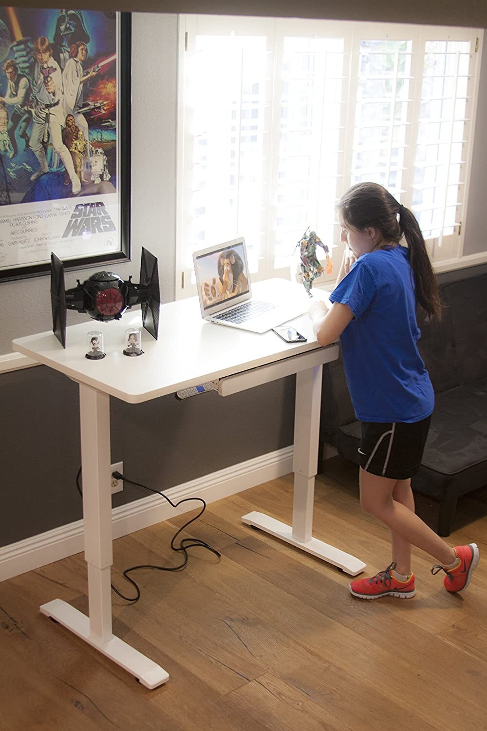 Motionwise Electric Adjustable Height Home Office Desk 24" In. x 48" In