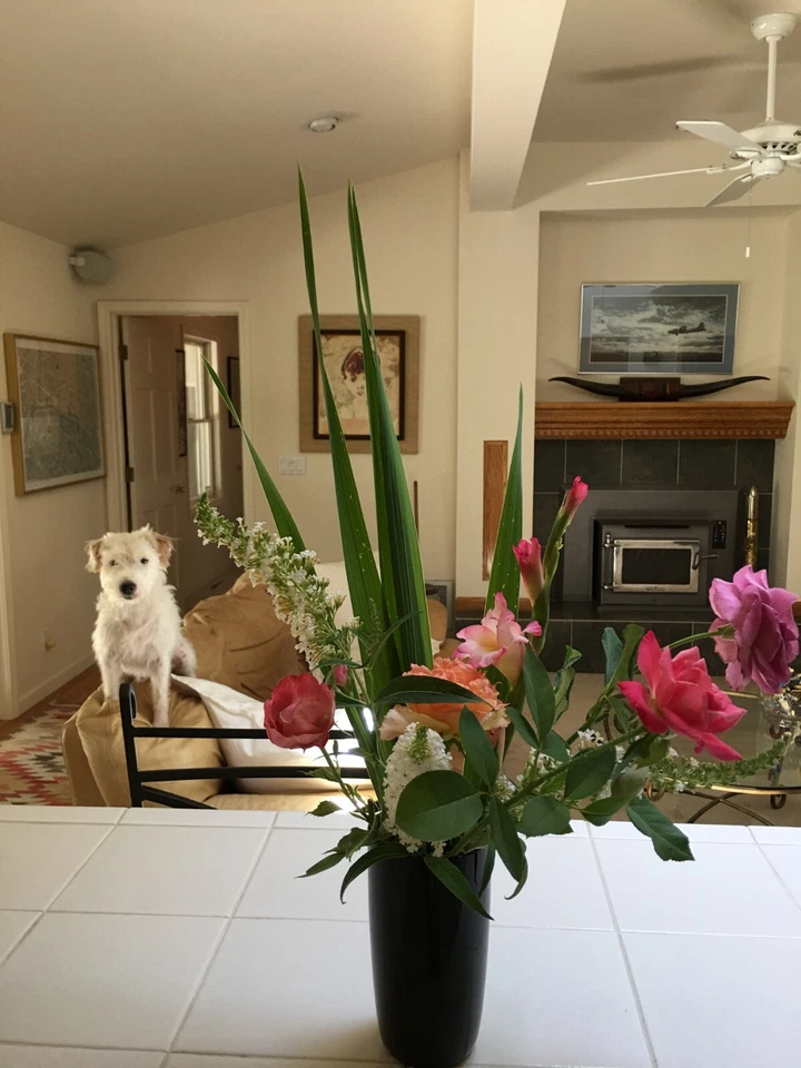 CRAFTS UNCUT SEWING PATTERN EMBROIDERY LILY ANNA STITCHERY FEBRUARY BANNER 6X7 - Image 3 of 3