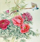Bild 8 von 31